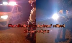 Mahalledeki 'Gulyabani' nöbeti devam ediyor