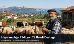 Çanakkale’de hayvancılık yapmak isteyenlere 2 milyon TL’ye kadar kredi desteği