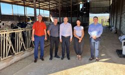 Çan Kaymakamı Şimşek, Hacıkasım Köyü’nde incelemelerde bulundu
