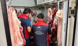Çan’da Tarım Müdürlüğü Ekiplerinden İşletmelere Denetim