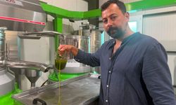 Avrupa ilaç yerine ilk hasat zeytinyağı içiyor