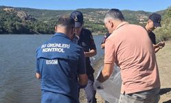 Atikhisar Barajı’nda balık ölümleri; Ekipler harekete geçti!