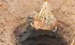 Çukurda mahsur kalan köpek, AFAD tarafından kurtarıldı