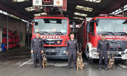 Arama Kurtarma Köpekleri Trabzon’da Eğitiliyor: Yeni Eğitim Üssü