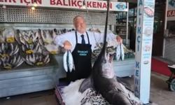 Çanakkale’de yakalanan devasa kılıç balığı 2 gün boyunca sergilenecek