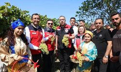 Prof. Dr. Ahmet Gümen Gökçeada’da! Adanın organik tarım projeleri görüşüldü