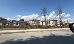 Annesini tabanca ile vuran şahıs tutuklandı