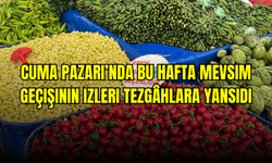 Cuma Pazarı’nda bu hafta mevsim geçişinin izleri tezgâhlara yansıdı