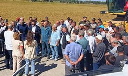 Biga Ziraat Odası çeltik fiyatı için rakam verdi: “Belirsizlik artık sona ermeli”