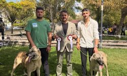 Yenice’nin gururu Ankara’da zirveye çıktı!