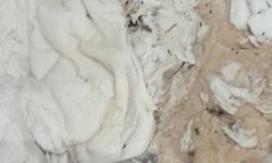 Hamam böceği ve sigara izmaritinden geçilmeyen fırında mide bulandıran görüntüler