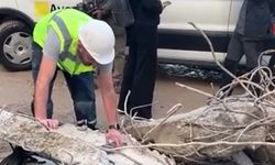 Maltepe'de çöken binadan alınan örnekler inceleniyor!