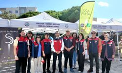 Eceabat’ta zeytin hasadı festivale dönüştü