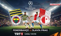 Fenerbahçe Slavia Prag maçı nerede izlenir, şifresiz canlı hangi kanalda?