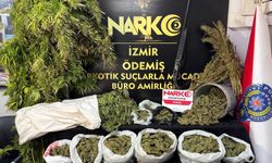Uyuşturucu baskınları: 7 kilo esrar ve binlerce hap ele geçirildi!