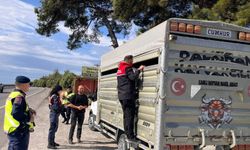 Balıkesir’de canlı hayvan nakillerine yönelik yol kontrolleri gerçekleştirildi