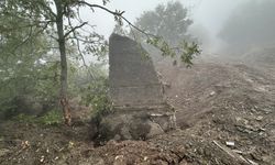 Çalışma sırasında bulundu, merak konusu oldu