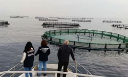 Su ürünleri yetiştiricilik tesisleri denetlendi