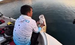 30 kiloluk turna yakaladı