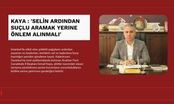 Kaya : 'Selin Ardından Suçlu Aramak Yerine Önlem Alınmalı'