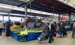 Cuma Pazarı’nda palamut bolluğu, turşuluk telaşı