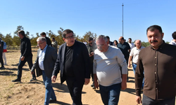Yeni Parti Ezine Teşkilatı Zeytin Hasat Şenliği’ne katıldı