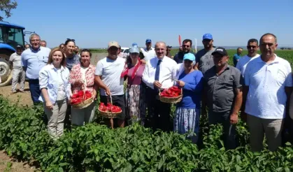 Çanakkale, 344 bin ton kapya biber üretimiyle lider konumda
