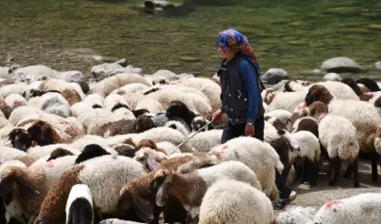 Bir çocuğun sessiz çığlığı: "Hiç oyuncağım olmadı"