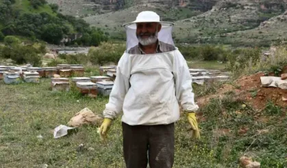 Arıcılar doğal bal için yollarda