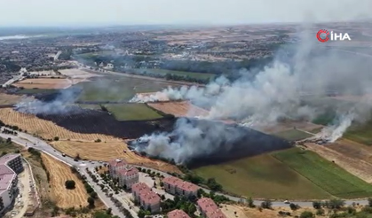 Çanakkale'de Sönen Yangın, Edirne'de Yerleşim Alanlarına Metreler Kala Söndürüldü