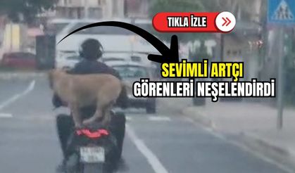 Sevimli artçı görenleri neşelendirdi