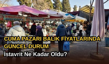 Çanakkale Cuma Pazarı’nda Balık Fiyatları: İstavritin Etiketi Yenilendi!