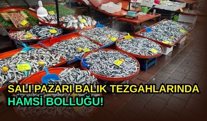 Çanakkaleliler Hamsiye Doyacak! Salı Pazarı Balıkçı Esnafından Çağrı