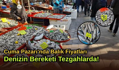 Cuma Pazarı’nda Balık Fiyatları: Denizin Bereketi Tezgahlarda!