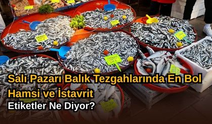 Salı Pazarı Balık Tezgahlarında En Bol Hamsi ve İstavrit: Etiketler Ne Diyor?