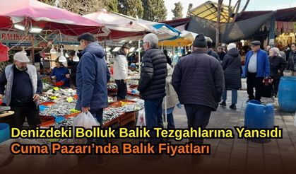 Denizdeki Bolluk Balık Tezgahlarına Yansıdı: Cuma Pazarı’nda Balık Fiyatları