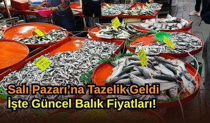 Salı Pazarı’na Tazelik Geldi: İşte Güncel Balık Fiyatları!