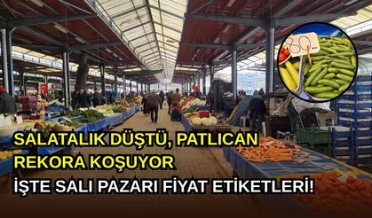 Salatalık Düştü, Patlıcan Rekora Koşuyor: İşte Salı Pazarı Fiyat Etiketleri!