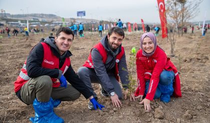 1.5 milyon kan bağışçısı adına 4.7 milyon fidan dikildi