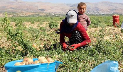 Çanakkale’de 2026 tarım işçisi yevmiyeleri belli oldu