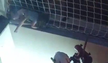 Balkon filesinde asılı kalan çocuğunu düşmesin diye dakikalarca tuttu