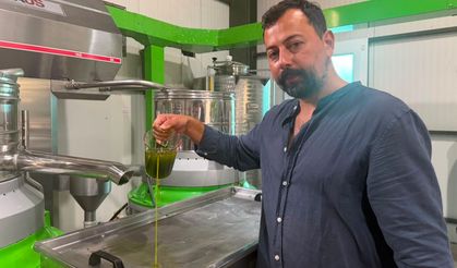 Avrupa ilaç yerine ilk hasat zeytinyağı içiyor