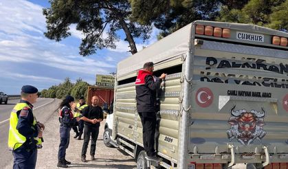 Balıkesir’de canlı hayvan nakillerine yönelik yol kontrolleri gerçekleştirildi