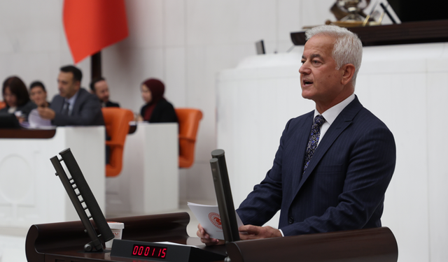 CHP'li Güneşhan: “İklim Yasası halkın lehine olmalı”
