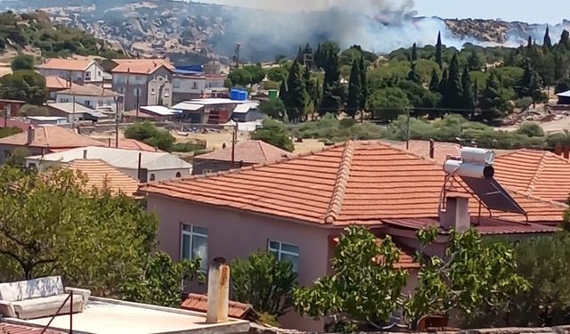 Ayvacık'ta makilik alanda çıkan yangın kontrol altına alındı