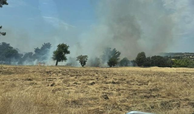 Tarım arazisinde çıkan yangın kontrol altına alındı