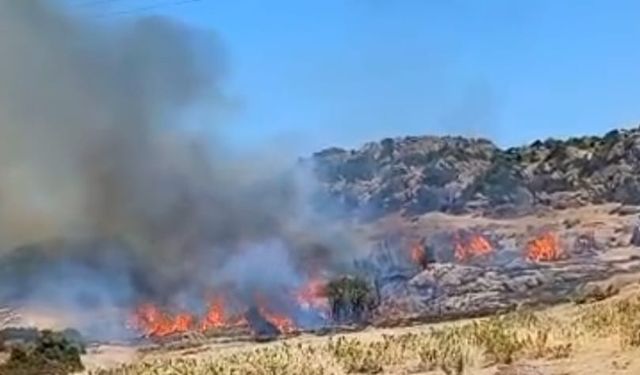 Son dakika! Ayvacık'ta yangın