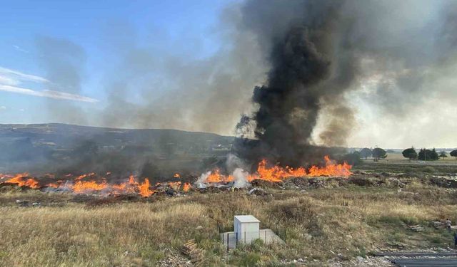 Çanakkale’de otluk alanda yangın paniği