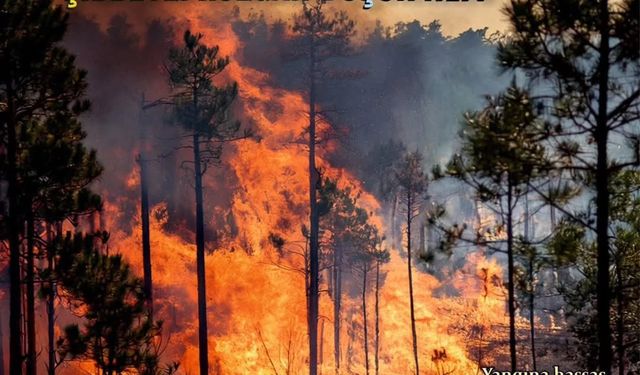 Çanakkale’deki orman yangınlarıyla ilgili 26 kişi hakkında soruşturma başlatıldı