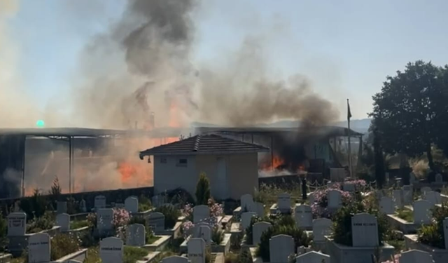 Kereste işletmesinde yangın paniği